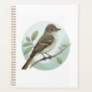 Search for flycatcher Bird