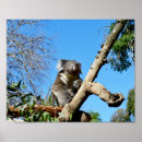 Search for cuddly art Animal