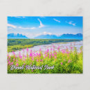 Search for denali postcards Alaska