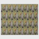 Search for feeding gift wrap Wildlife