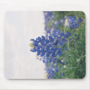Search for lone mousepads Wild