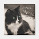 Search for adopt magnets Cats