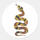 Search for snake stickers Colourful