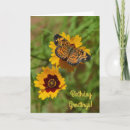 Search for summer flower birthday cards Wildflower