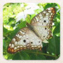 Search for tropical butterfly coasters Flower