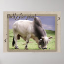 Search for bull posters Cow