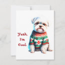 Search for maltese christmas cards Pet