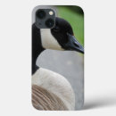 Search for canada goose electronics Waterfowl