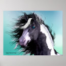 Search for gypsy vanner horse Black
