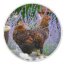 Search for chicken knobs and pulls Country