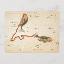 Search for fine art birthday cards Fish