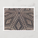 Search for digital design postcards Fractal