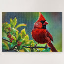 Search for cardinal bird puzzles Illustration
