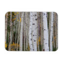 Search for 3x4 cards Foliage