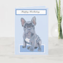 Search for french bulldog puppy cards Cute