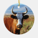 Search for cows christmas tree decorations Cowgirl