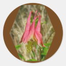 Search for columbine stickers Wildflower