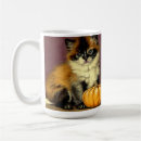 Search for ragdoll cat mugs Himalayan