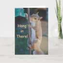 Search for holding photography Squirrel