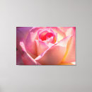 Search for macro rose canvas prints Nature