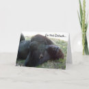 Search for lowlands cards Gorilla