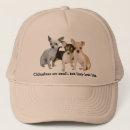 Search for chihuahua dogs baseball caps Puppy