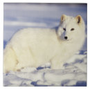 Search for fox tiles Alaska