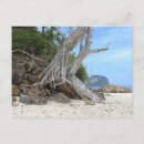 Search for sandi postcards Sandy beach