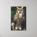 Search for ie canvas prints Wildlife