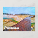 Search for yellowstone postcards Wyoming