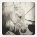 Search for stable stickers Outdoors