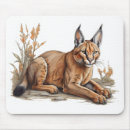 Search for tech postcards Animal