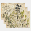 Search for dandelion wrapping paper Wildflower