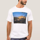 Search for cher tshirts Chambord