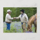 Search for rancher postcards Cowboy