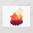 Search for wolf postcards Colourful