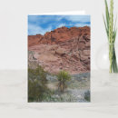 Search for conservation cards Landscapes
