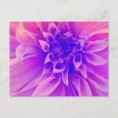 Search for macro postcards Flower