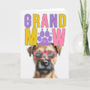 Search for border terrier cards Dogs