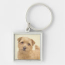 Search for norfolk key rings Terrier
