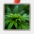Search for weed christmas tree decorations Smoke