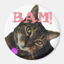 Search for aspca Adopt