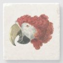 Search for macaws coasters Parrot