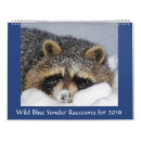 Search for racoon calendars Wildlife