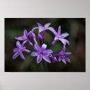 Search for garlic art Wall