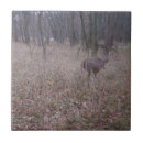 Search for buck tiles Nature