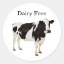 Search for lactose intolerance stickers Milk