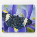 Search for tropical butterfly mousepads Animal