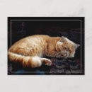 Search for cats sleeping postcards Pet