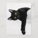Search for chillin postcards Lazy